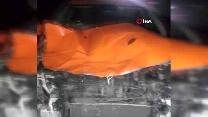 İstanbul Havalimanı yolunda taksinin çarptığı manda telef oldu