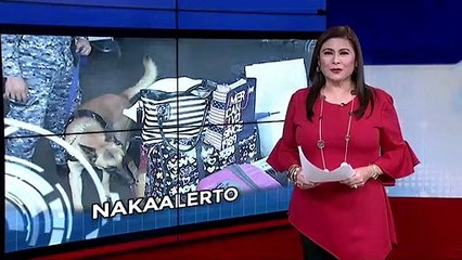 PCG, nakaalerto vs African swine fever