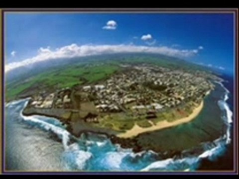 Blacko solitary lion