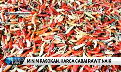 Minim Pasokan, Harga Cabai Rawit di Palopo Naik