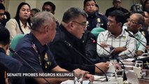 Police explain killings in Negros