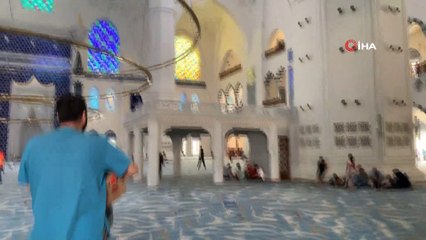 Üsküdar’da yere düşen üç Ebabil kuşu, Çamlıca Camii’nin çatısından gökyüzüne salındı