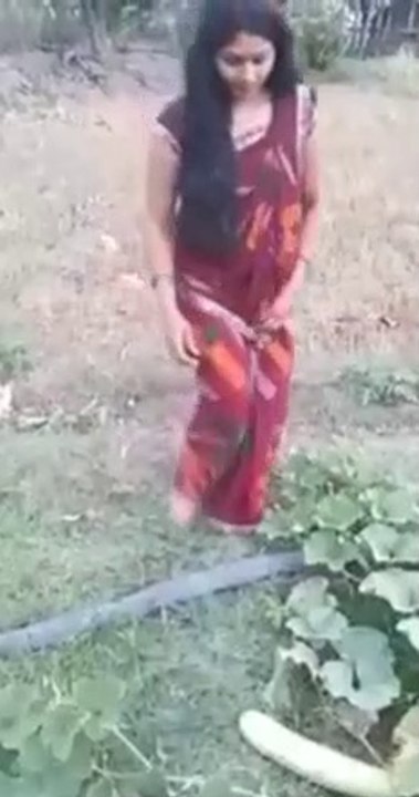 vidéos drôles, échecs drôles, vignes drôles, essayez de ne pas rire