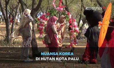 Nuansa Korea di Hutan Kota Palu
