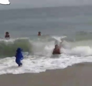 vidéos drôles, échecs drôles, vignes drôles, essayez de ne pas rire, blagues