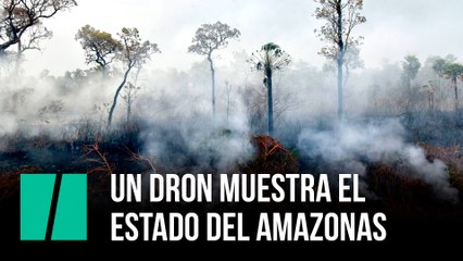 Un dron muestra el estado del Amazonas
