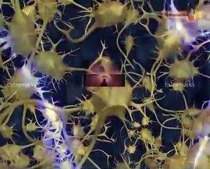 Chapter Wise Guidance to Class XI Biology