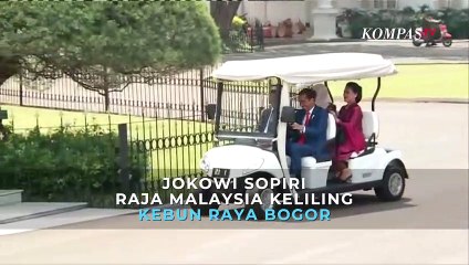 Momen Presiden Jokowi Sopiri Raja Malaysia Keliling Kebun Raya Bogor