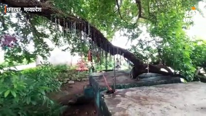 छतरपुर में मन्नत पूरी होने पर पेड़ में लगाते हैं लोहे की सांकल