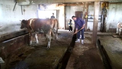 Gençler "Genç Çiftçi Projesi"yle köyde kaldı