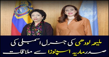 Maleeha Lodhi briefs UNGA president on Kashmir issues