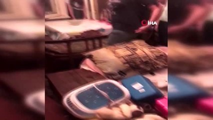 - Rusya'da bir kadının yüzlerce fareyle birlikte yaşadığı ortaya çıktı