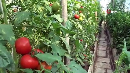 EMEKLİ BAHÇESİNİ SERAYA DÖNÜŞTÜRDÜ