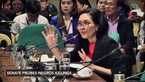 Dela Rosa, Hontiveros demand probe vs Negros vigilante group