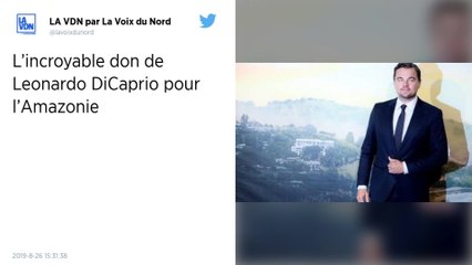 Incendies en Amazonie : Leonardo DiCaprio appelle à agir face à la « tragédie »