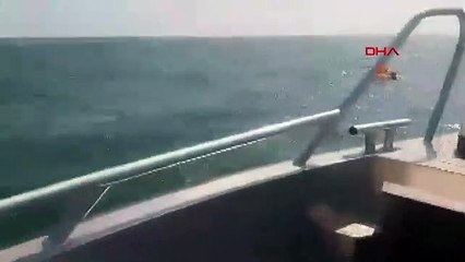 Sarı deniz yatağı sayesinde hayatı kurtuldu