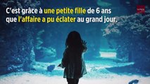 Affaire Le Scouarnec : « Peut-être la plus grande affaire de pédophilie du siècle »