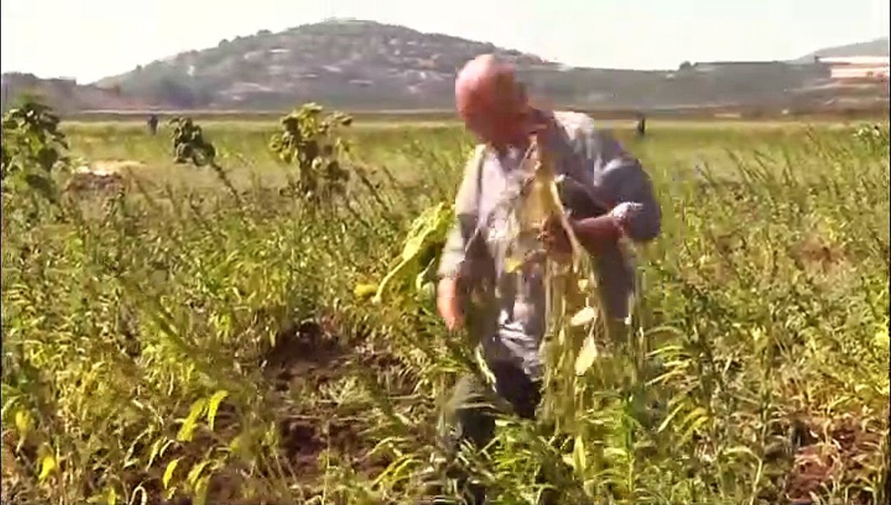 فيديو: أهالي جنوب لبنان يعلنون التحدي ضد إسرائيل