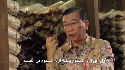 الجزء الثاني- لماذا الناس بحاجة للقانوديريما ؟ لماذا يحتاج الجسم للقانوديريما؟