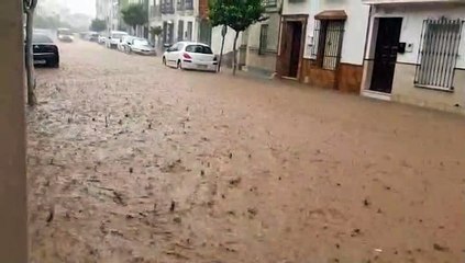 Caen 50 litros por metro cuadrado en Pedrera