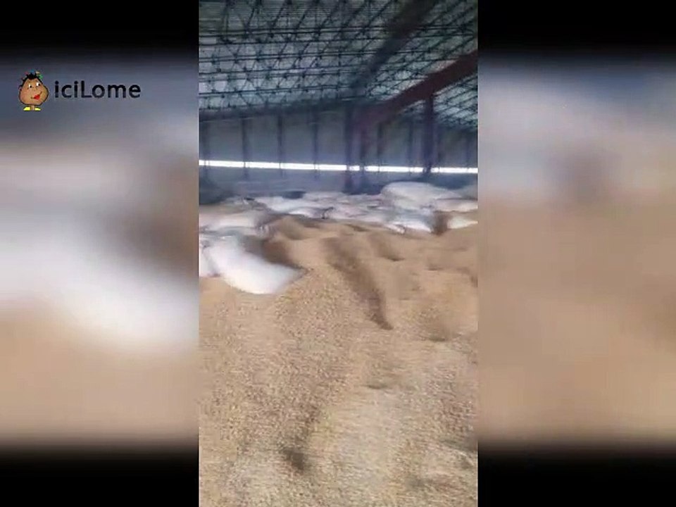 Ministère de l’Agriculture : Des stocks de maïs avariés objet de tension entre l’ANSAT et le Mouvement 7 collines