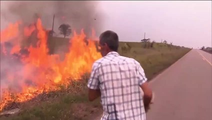 Amazonie : Le Brésil snobe l'aide du G7 et dit que les feux sont "sous contrôle"