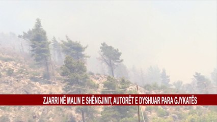 ZJARRI NE MALIN E SHËNGJINIT, AUTORET E DYSHUAR PARA GJYKATËS