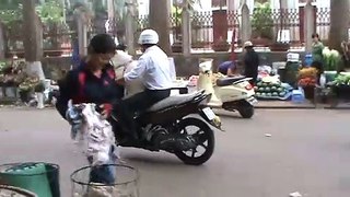 Bid Dog - Dog Riding on Motorcycles and Compilation.
