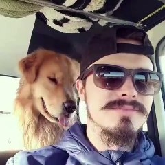 Sahibini taklit eden köpeğin sevimli anları