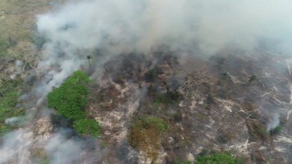 브라질, G7 산불 진화 지원 제안 거부 / YTN