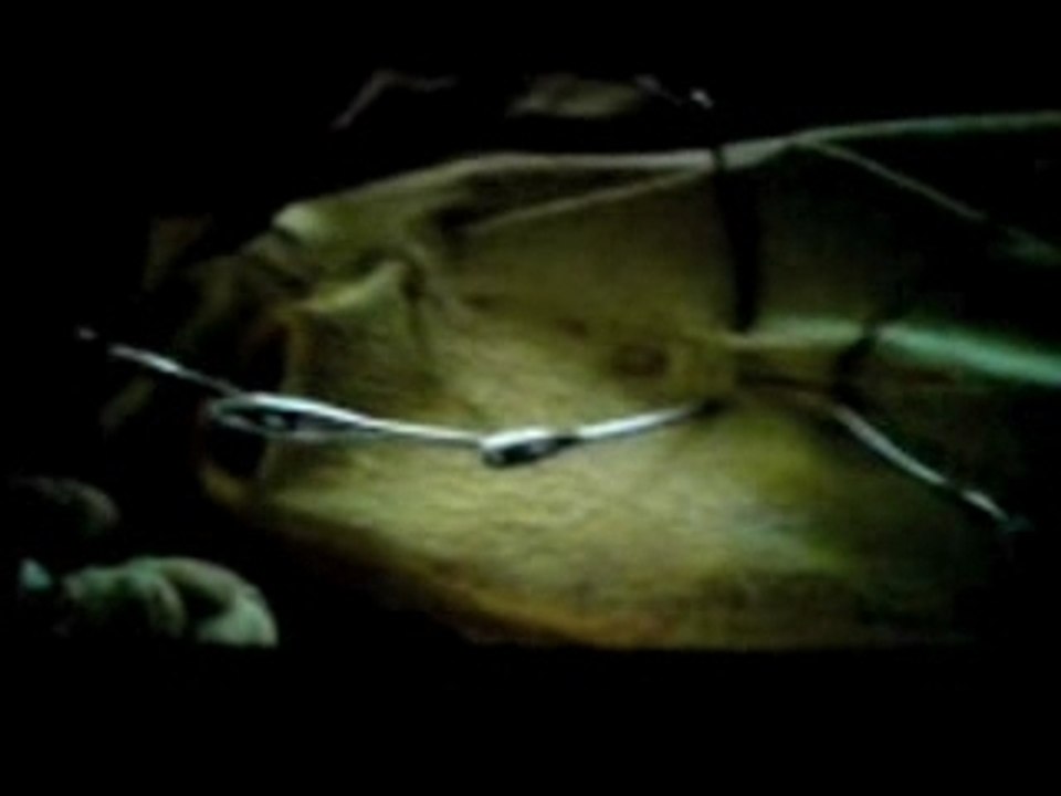 Coraline_teaser