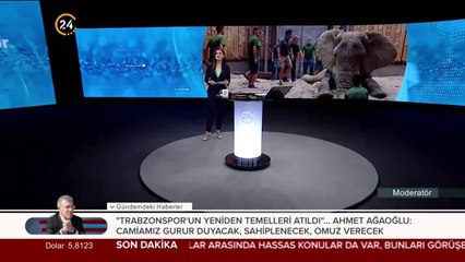 Vinç ve testereyle diş bakımı