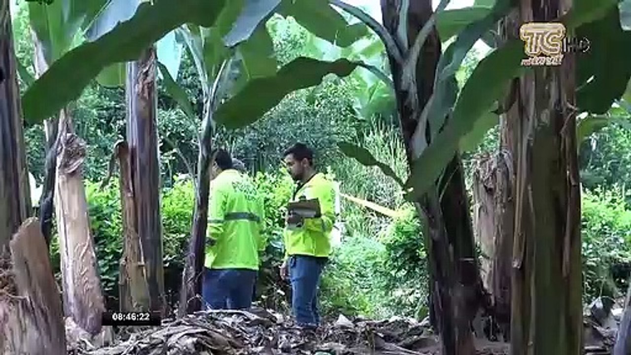 Sujeto habría disparado por cinco ocasiones a un  hombre que se negó a ser asaltado