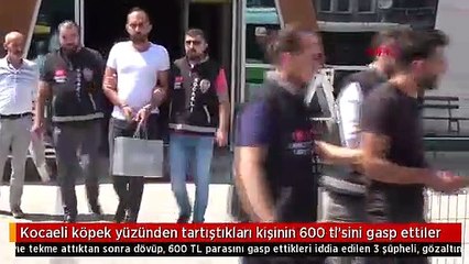 Kocaeli köpek yüzünden tartıştıkları kişinin 600 tl'sini gasp ettiler