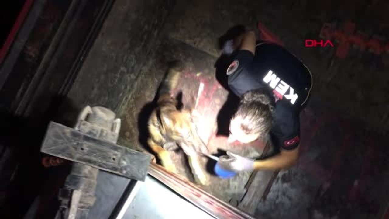 Adana su tankeri içinde 467 kilo esrar ele geçirildi