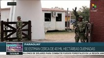 Paraguay: unas 20 mil hectáreas afectadas por incendios