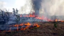 Incêndio ameaça residência e mobiliza equipes ao XIV de Novembro