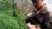 Le meilleur job du monde est de prendre soin des bébés pandas. Trop mimi !