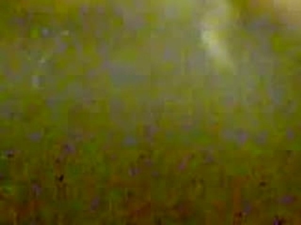 Ti delire avec une moto ki fai des foto...