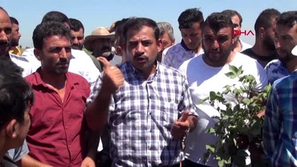 Yol kapatıp, pamuk fiyatının açıklanmasını istediler -1