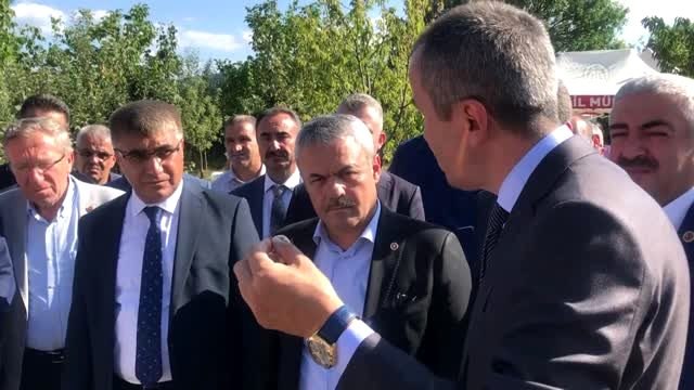 Mucize bitki safranda hedef 20 kilogram