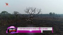 Cháy rừng Amazon năm 2019 tiếp tục lan rộng bất chấp mọi nỗ lực của G7