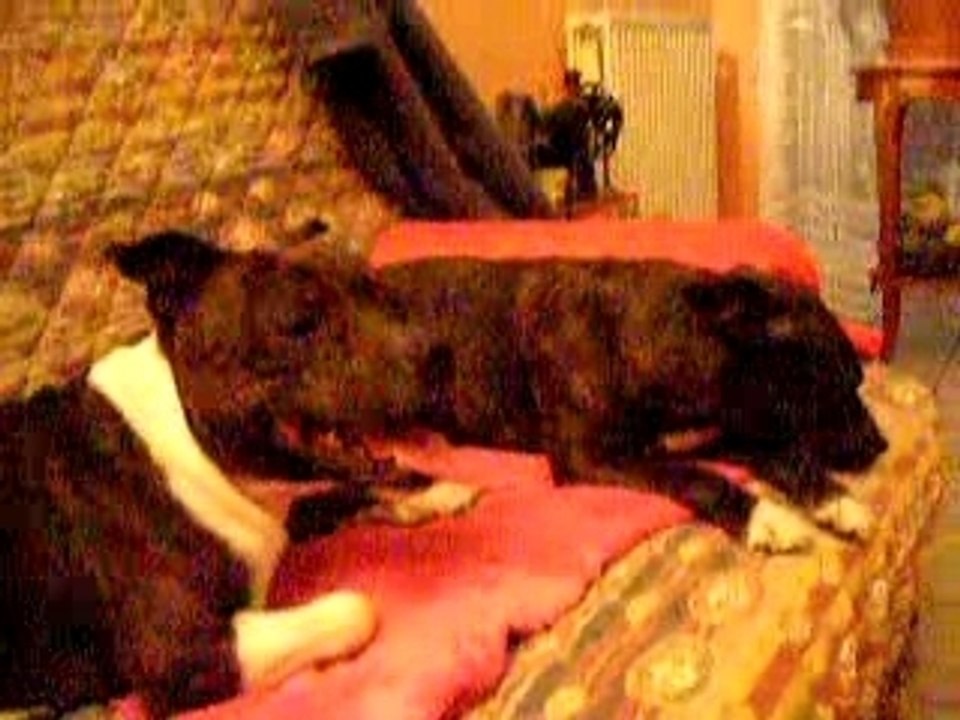 Alpha et Tita 29 JANV 08