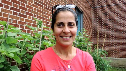 Fruits et légumes en trop du jardin récupérés par les « Glaneuses »