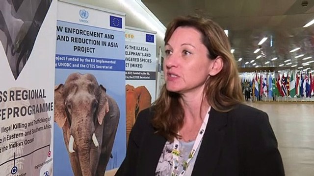 Venda de elefantes africanos para cativeiro restringida