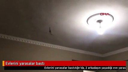Evlerini yarasalar bastı