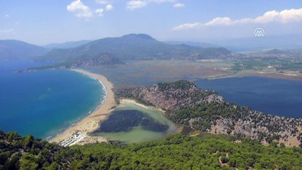 Caretta caretta plajının işletmesi belediyeye emanet - MUĞLA