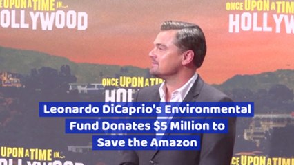 Leonardo DiCaprio Tries To Save The Amazon Rainforest