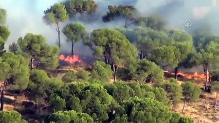 Ayvalık'ta ağaçlık alandaki yangın söndürüldü - BALIKESİR