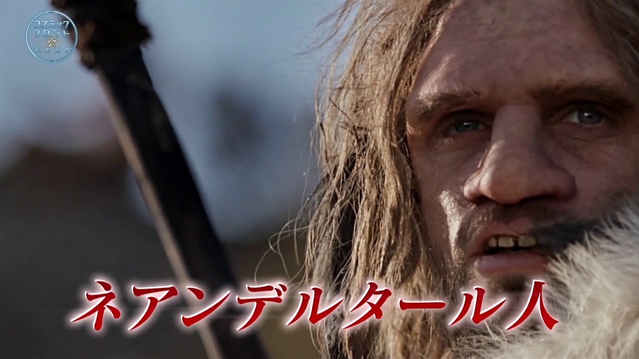 ネアンデルタール人はなぜ絶滅したのか 動画 Dailymotion